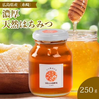 ふるさと納税 三原市 【国産 天然蜂蜜】ミニストック 熟成「濃厚はちみつ」250g (糸崎町産)[106-004]