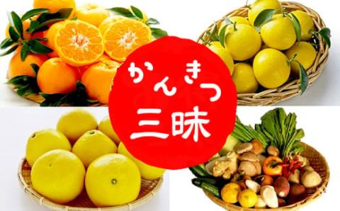 【南国高知からの贈り物】柑橘三昧(ポンカン･文旦･小夏] +++野菜セット付き+++