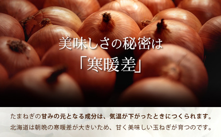 真珠の玉葱 Lサイズ5kg ≪海のミネラルで育てた玉葱≫【50103】