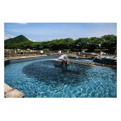 ふるさと納税 山口市 子持鮎甘露煮詰合せ D065 |  | 03