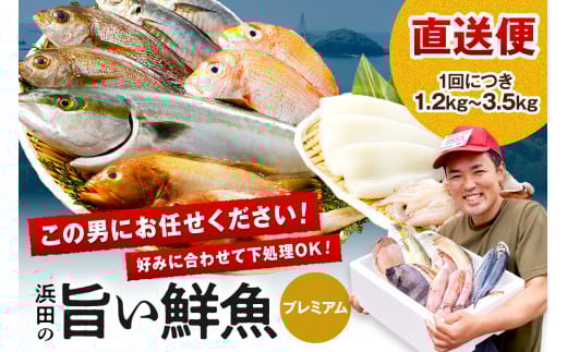 浜田のプレミアム鮮魚～この男シリーズ～ 海鮮 鮮魚 詰め合わせ セット おまかせ 人気 お取り寄せ 【006_0855】