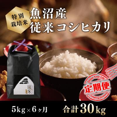 ふるさと納税 十日町市 【毎月定期便】【特別栽培米】頂米 金兵衛 魚沼産従来コシヒカリ(精米)5kg 全6回