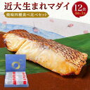 【ふるさと納税】近大生まれマダイ 焼味四種食べ比べセット／12食 | 魚 さかな 鯛 たい 食べ比べ 塩焼き 照焼き 西京焼き 西京焼 柚庵焼き 電子 レンジ 温めるだけ 養殖 お取り寄せ グルメ お弁当 ご飯 ごはん おかず おうちごはん 和歌山県 白浜町 水産 加工品 真鯛 焼き魚