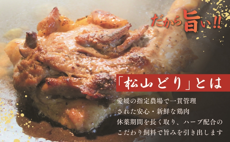 【松山名物】愛媛・松山名物セット 元祖三津浜焼き2個＆松山骨付鳥 親鳥・若鳥各1本セット 人気店の味 レンジで簡単 冷凍 お惣菜 お好み焼き 一人暮らし 小麦 大人気 おいしい 美味しい やきとり  
