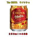 【ふるさと納税】The CHOYAウメッシュ 250ml×2ケース（48本） | 楽天ふるさと 納税 和歌山県 和歌山 上富田町 梅酒 チョーヤ梅酒 酒 お酒 アルコール飲料 まとめ買い チョーヤ ドリンク 飲料 飲み物 梅 うめ ウメ プレゼント ギフト 贈り物 美味しい CHOYA