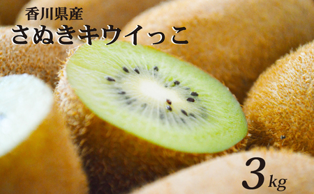 【11月上旬から12月下旬の間で順次発送】 一口サイズ！ さぬきキウイっこ 約3kg キウイ 【goshiki030】