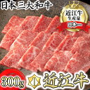 【ふるさと納税】【カネ吉山本】【認定近江牛雌牛限定】近江牛特上焼肉　バラ・モモ300g 牛肉 牛 すきやき 国産 ブランド牛 日本三大和牛 しゃぶしゃぶ 焼きしゃぶ 食品 グルメ 冷凍 キャンプ アウトドア bbq 贈り物 ギフト 送料無料 すき焼き肉