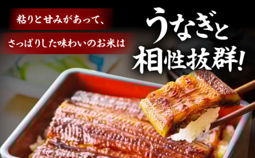 「うなぎ蒲焼き 3尾」と地元生産者こだわりの「お米 3㎏」セット