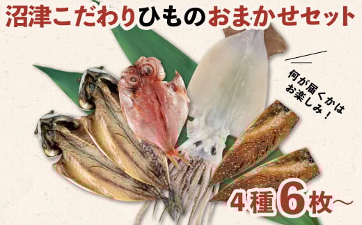 干物 ひもの おまかせ セット 4種 6枚 ～ おたのしみ 冷凍 詰め合わせ 干物セット コスパ ランキング 極上 人気 美味しい 高級 静岡 沼津 静岡県