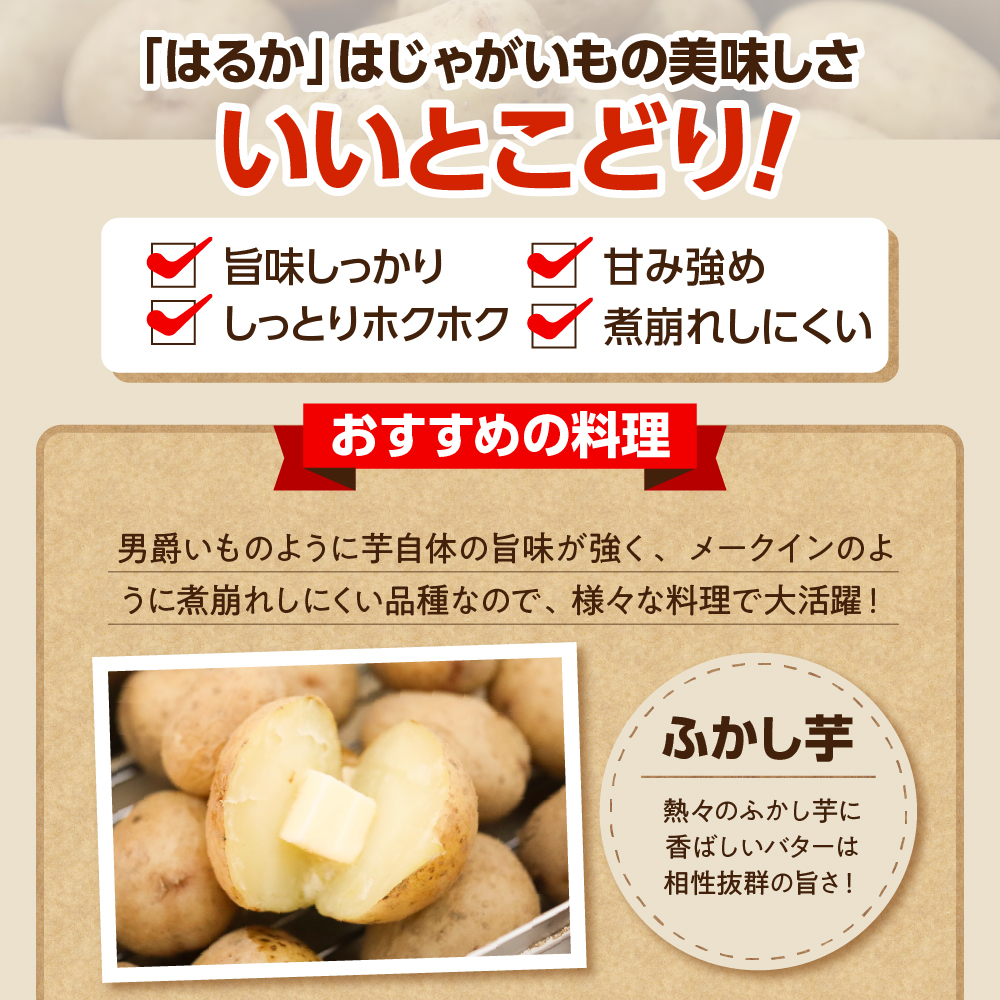 北海道十勝芽室町　なまら十勝野　越冬じゃがいも　はるか　5kg　me001-028c