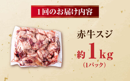 【全3回定期便】 赤牛 スジ 計3kg 1回あたり1kg / お肉 肉 牛肉 あか牛 牛スジ 和牛 熊本県産 冷凍【五右衛門フーズ熊本店】[AYBV005]