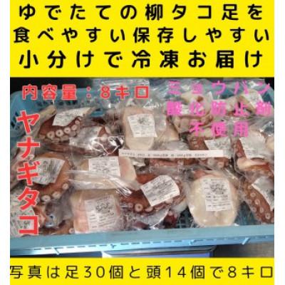 ふるさと納税 白老町 浜ゆでたこ 計8000g 北海道白老町産