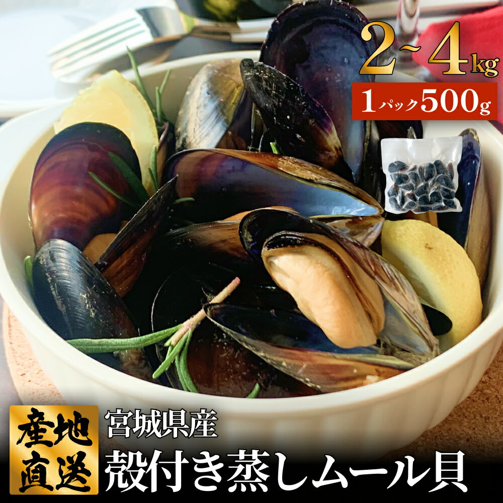 【ふるさと納税】宮城県 三陸産 殻付き蒸しムール貝 2-4kg 石巻市 冷凍 個包装 味噌汁 リゾット パエリア 青空レストラン 宮城県ムール貝