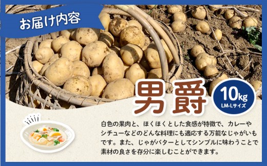 【新じゃが先行受付！】多田農園の北海道安心ラベル「Yes!clean」認証　男爵10kg（LM-Lサイズ）