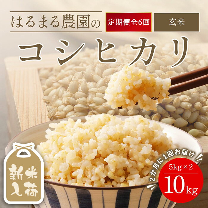 【ふるさと納税】＜先行予約受付中！2026年8月下旬以降順次発送＞＜定期便6回＞令和8年産 はるまる農園のコシヒカリ 玄米(10kg×6回) 米 こめ ご飯 ごはん 定期便 玄米 コシヒカリ こしひかり 福知山城献上米 豊冨米 新米 頒布会【fc-CN008-R8】【はるまる農園】