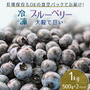 【ふるさと納税】【男鹿ぶるーべりーガーデン】 冷凍ブルーベリー500g×2パック（合計1kg）　【果物・フルーツ】