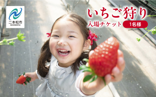 《2026年1月3日～5月23日開園》いちご狩り入場チケット いちご ストロベリー いちご狩り 苺 イチゴ フルーツ 果物 おすすめ お中元 お歳暮 ギフト 二本松市 ふくしま 福島県 送料無料【まるなかファーム株式会社】
