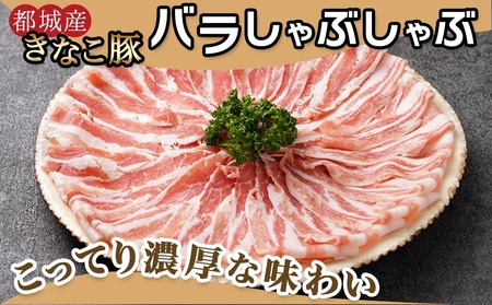 【年内お届け】鍋★きなこ豚しゃぶしゃぶ用食べ比べセット(バラ・ロース・肩ロース・たれ付き)≪2025年12月15日～31日お届け≫_MJ-1212-HNY_(都城市) ブランド豚 きなこ豚 肩ロース 