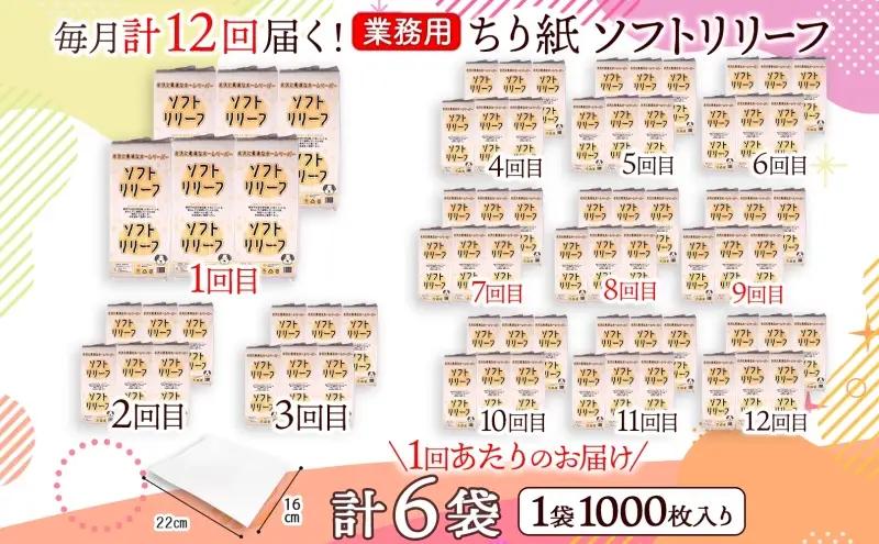 定期便 12ヵ月連続お届け ちり紙 リリーフ 1000枚×6袋 紙 無香料 ティッシュペーパー 落とし紙 ペーパー 紙 紙製品 日用品 消耗品 紙製品 ストック 備蓄 生活必需品 エコ まとめ買い ト
