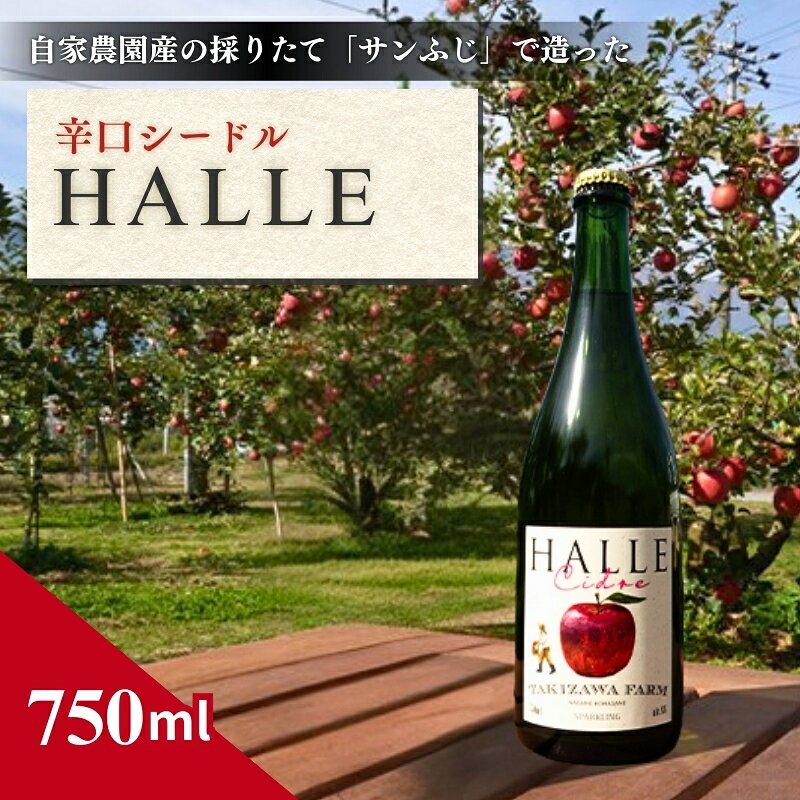 【ふるさと納税】【信州産りんご】辛口シードル「HALLE」（750ml×1本） お酒 アルコール リンゴ サンふじ