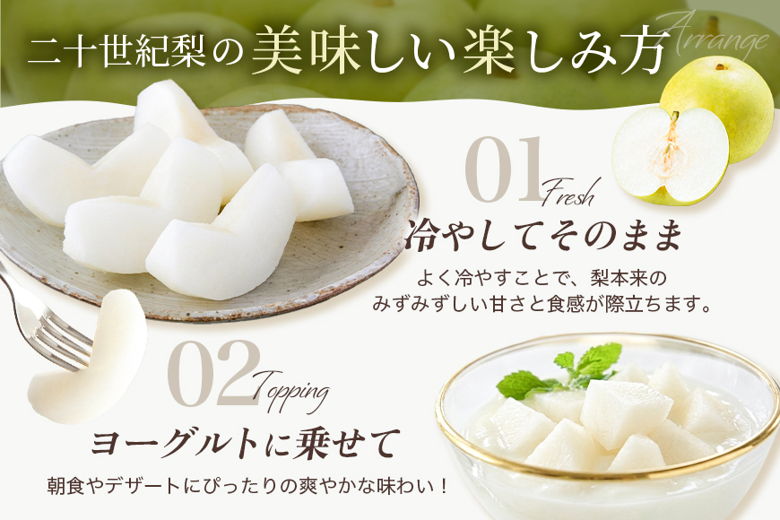 梨 2026年 先行予約 二十世紀梨 5kg 12～14玉 果物 なし 広島県 安芸高田市