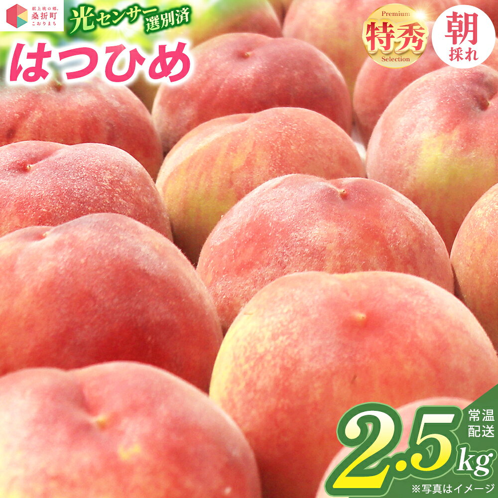 【ふるさと納税】もも【はつひめ・2027年先行予約】特秀2.5kg（7～9玉）桑折町振興公社 ／ もも モモ 果物 早生桃 桃 白桃 フルーツ 2.5kg 大容量 特秀品 果汁たっぷり やわらかい 甘い果物 家庭用 贈答用 夏 お取り寄せ 新鮮 福島県 特産品 献上桃の郷 【07301-0314】