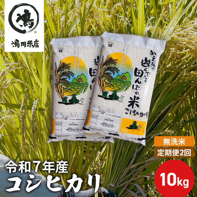 【ふるさと納税】【定期2ヶ月】新米 コシヒカリ 乾式無洗米 10kg（5kg×2）令和7年産 お米 銘柄米 ご飯 おにぎり お弁当 和食 食卓 精米 国産 千葉県産 産地直送