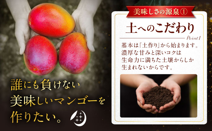 【先行予約 2026年発送 予約受付】【訳あり】仲村農園の完熟アップルマンゴー 2kg マンゴー 沖縄 果物 フルーツ ギフト 沖縄市 / 仲村農園 [BCCU003]