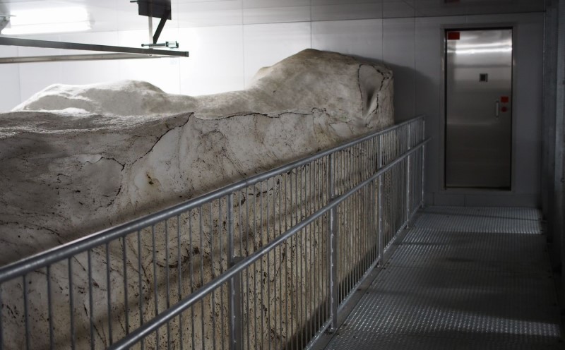 米 雪むろ 棚田米 コシヒカリ 20kg 玄米 こしひかり お米 こめ おすすめ ふるさと納税 ユキノハコ 新潟 新潟県産 にいがた 上越 上越産