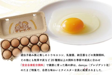 AQ010　【12ヶ月定期便】高橋ファームの丈夫卵 20個入り