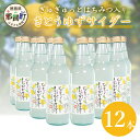 【ふるさと納税】きとうゆずサイダー　340ml×12本セット OM-28