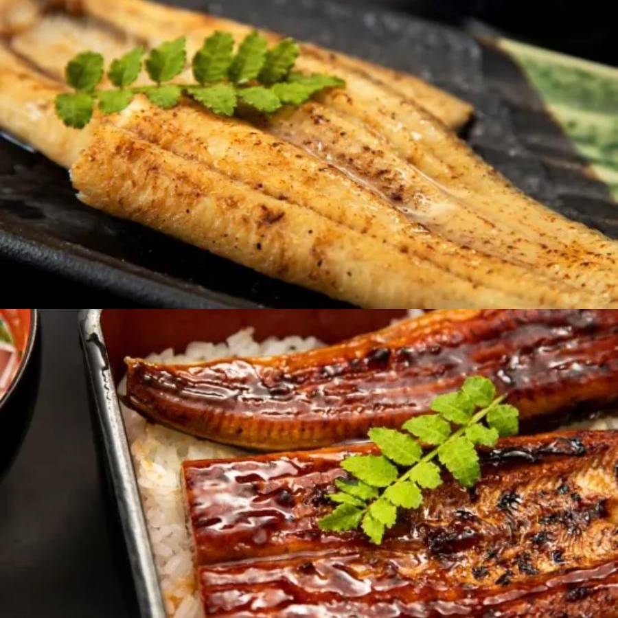 ”木曽三川うなぎ“鰻長蒲焼＆白焼各160g（計2枚）