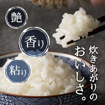 ふるさと納税 焼津市 令和7年産 別格 白米 10kg コシヒカリ(a22-073) |  | 01