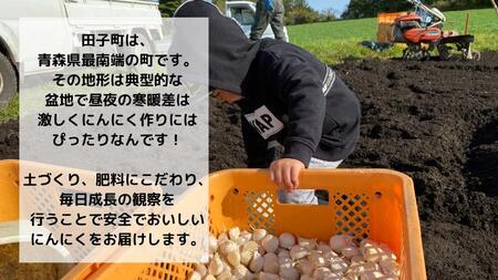 【訳あり】青森県田子町産乾燥にんにく『２kg』