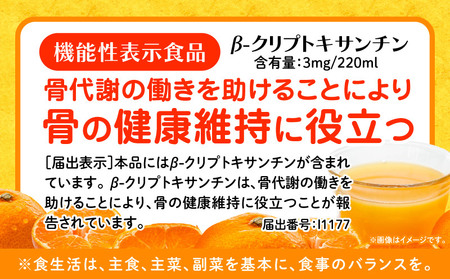 宮崎県産まる搾りみかんジュース(1L×3本 計3L)