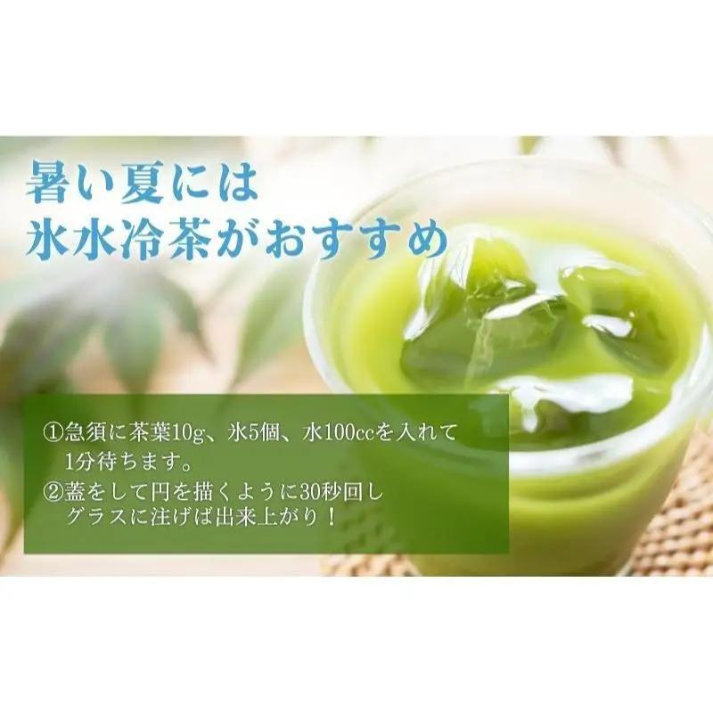 お茶 森の茶 初摘み たっぷり10袋 煎茶 お茶