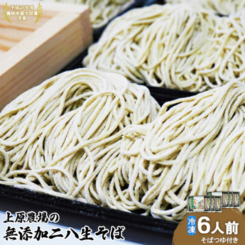 上原農場の無添加二八生そば×340g（6人前・そばつゆ付）【30004AA0101】