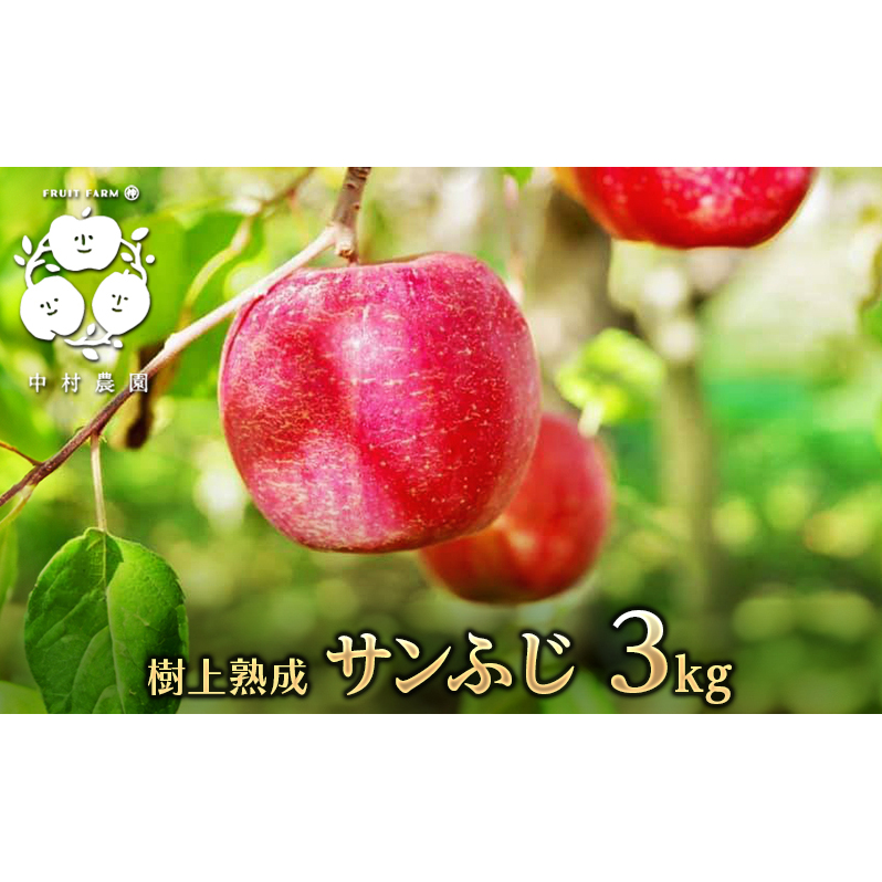 【2025年産】樹上熟成　サンふじ 3kg 