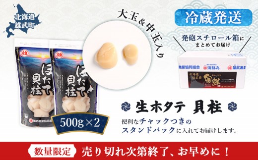 【関東限定！生ほたて】《期間限定》北海道雄武産 生玉ほたて1kg 500g×2塩水パック（冷蔵）