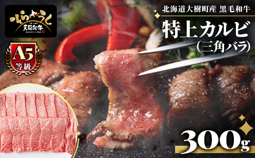 
                  大樹町産黒毛和牛「天駆牛(そらうし)」特上カルビ(三角バラ) 焼肉用 300g【1722166】
                