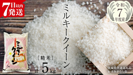 【令和7年産】 ミルキークイーン 精米 5kg（5kg×1袋）（茨城県共通返礼品 かすみがうら市産） [EX016sa]