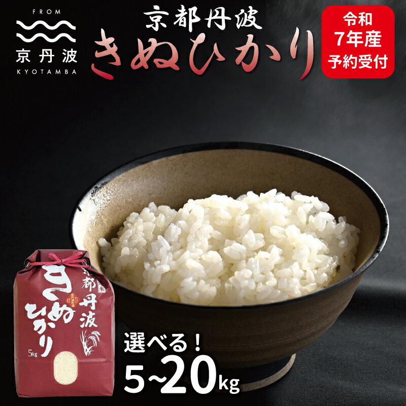 【ふるさと納税】 《先行予約》 京丹波きぬひかり 5kg 10kg 15kg 20kg 選べる 数量 令和7年産 京都 米 精米 キヌヒカリ ※北海道・沖縄・その他離島は配送不可