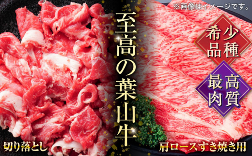 【全12回定期便】葉山牛満腹セット（肩ロースすき焼用250g×2＋切落し300g×2） 国産牛 牛肉 切り落とし 肩ロース 贅沢 セット たっぷり 大容量 1キロ超え 高級和牛 冷凍 黒毛和牛 国産 