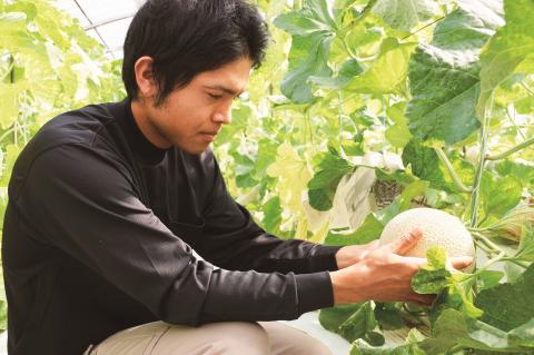 【6月下旬～発送】特選 アールスメロン 3玉/箱（2kg×3玉）メロン 養生市場st-p