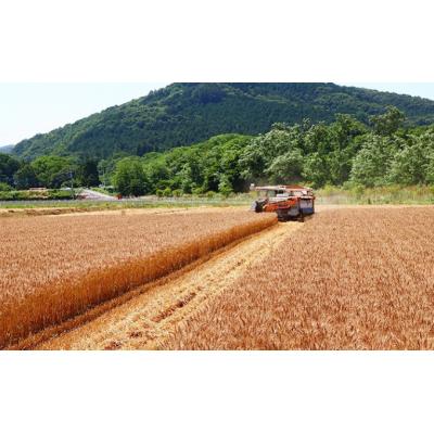 ふるさと納税 嵐山町 肉汁うどん1箱と嵐山町地酒4本セット[No.5755-0262] |  | 03