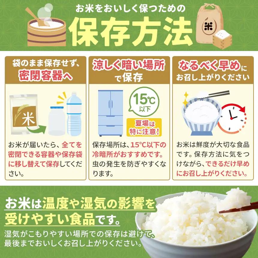 令和8年産 こしひかり 10kg （無洗米） 宮崎県産