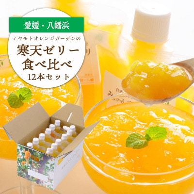 人気品種食べ比べ!みかん寒天ゼリーオールスター12本セット ミヤモトオレンジガーデン【D25−20】【1503231】