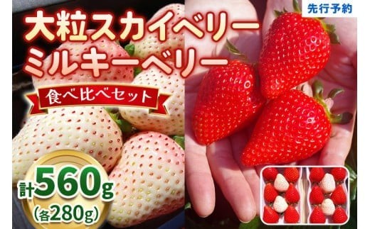 大粒スカイベリー 白いちごミルキーベリー 食べ比べセット 560g
