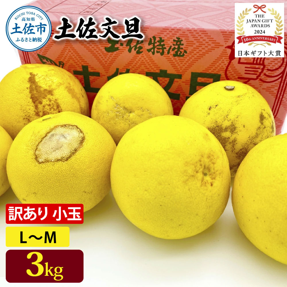 日本ギフト大賞受賞 園主こだわり土佐文旦 訳あり 小玉（L～M）3kg 3キロ 文旦 土佐文旦 ワケアリ ぶんたん ぼんたん フルーツ 果物 柑橘 みかん 蜜柑 家庭用 自宅用 高知 土佐 国産 常温
