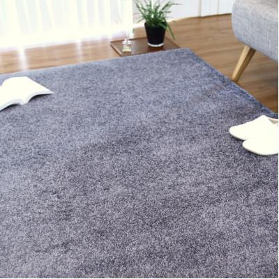 ふるさと納税 泉大津市 フロッシュ2　グレー　190cm×240cm